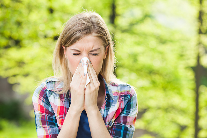 Allergien